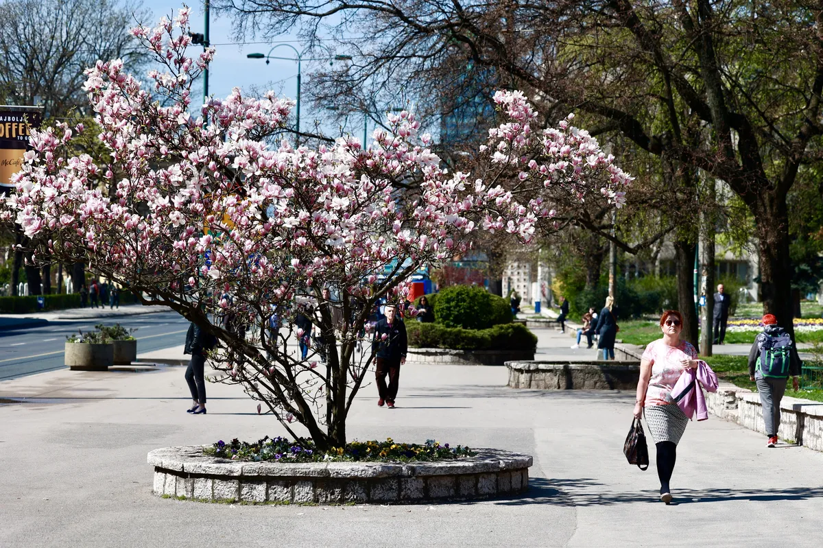 U BiH danas sunčano, temperature će rasti i do 32 stepena