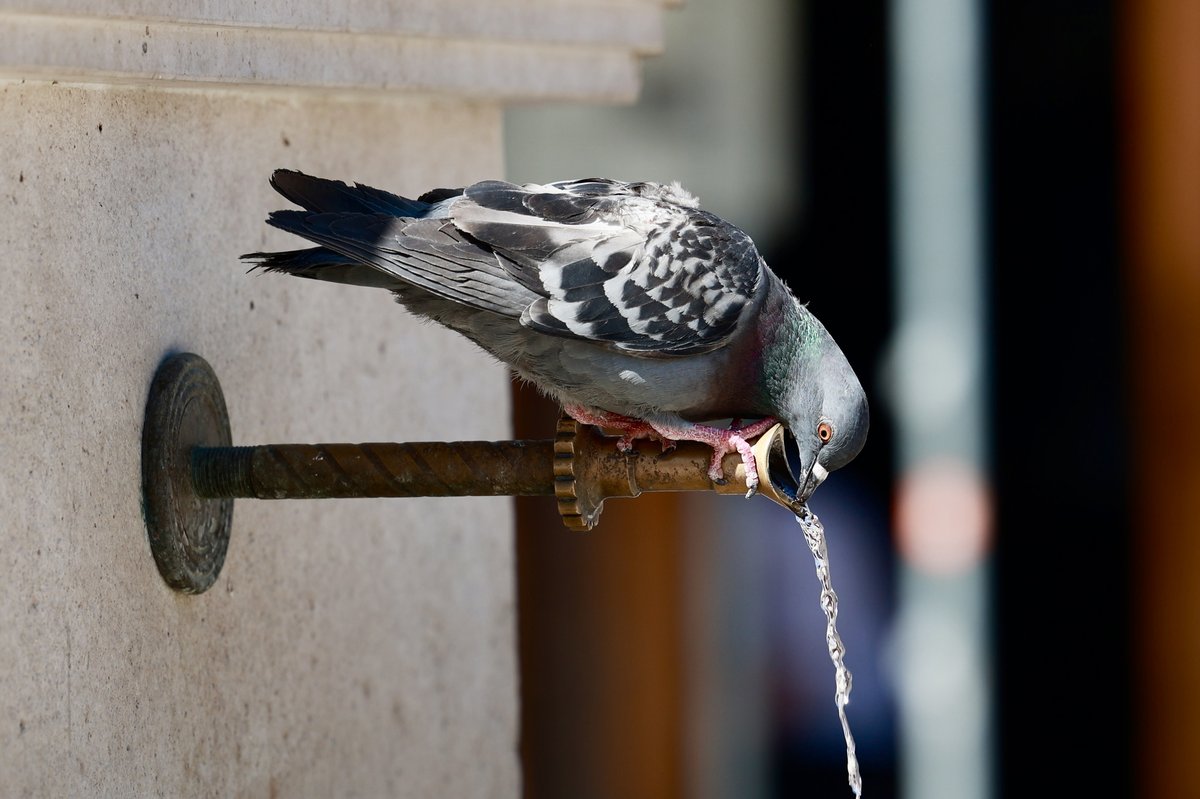 Danas sunčano u cijeloj BiH, na jugu zemlje temperature do 34 stepena
