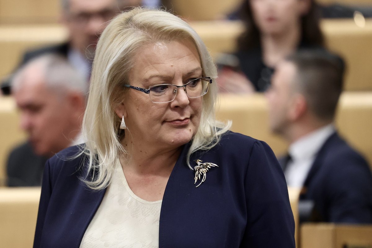 Potpredsjednica FBiH povukla zahtjev za ocjenu ustavnosti Zakona o Južnoj interkonekciji