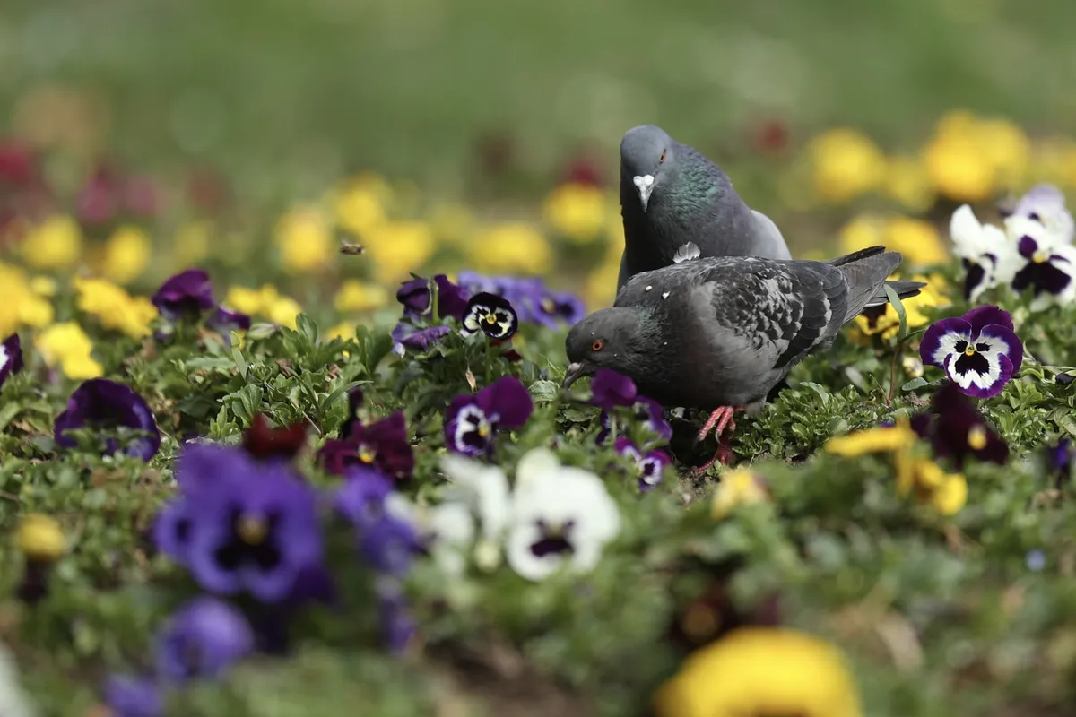 Objavljena konačna prognoza za 1. maj: Očekuje nas obilje sunca, neće biti kiše, ipak oprez zbog jedne vremenske pojave