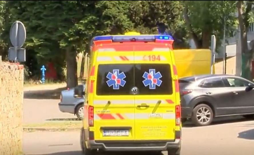 Bor visok 13,5 metara pao na osmero kupača u Hrvatskoj