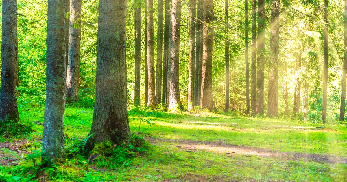 Bosnia part of $5 million worth regional initiative for locally led climate resilience solutions