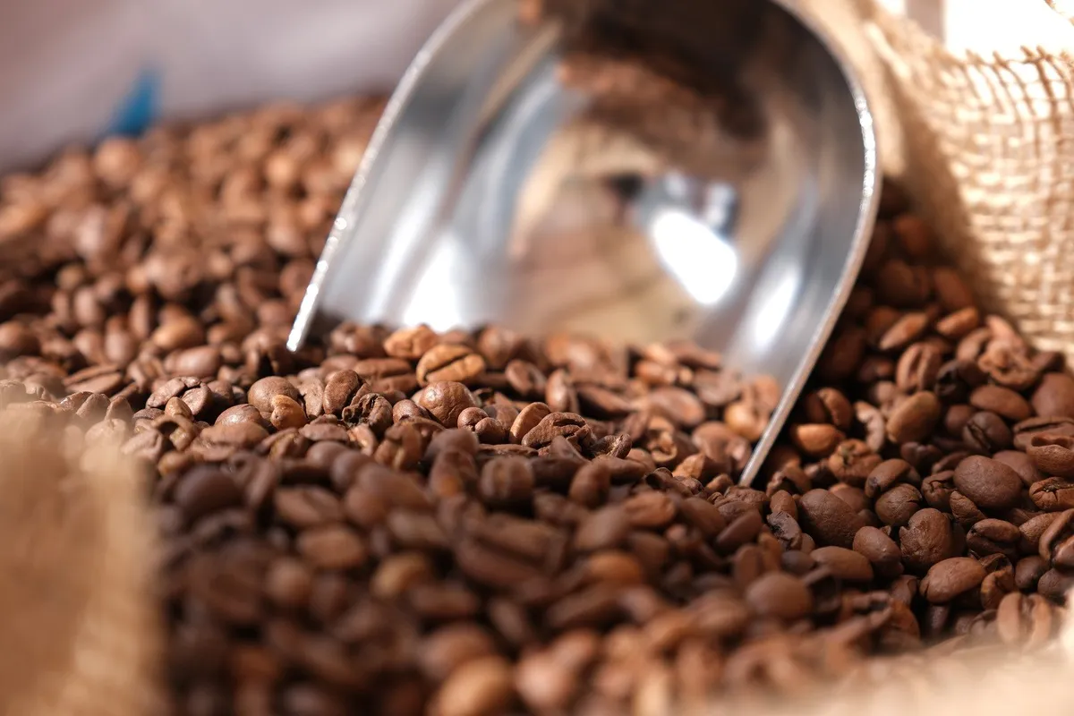 Kafa je poskupjela zbog stvari koje se dešavaju na tri kontinenta, a ni jedna od njih nije u našim rukama