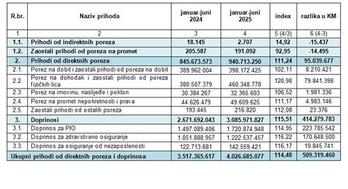 Strukturu javnih prihoda za period januar-juni 2025. godine u odnosu na januar-juni 2024. godine