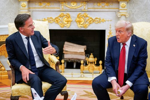 trump rutte