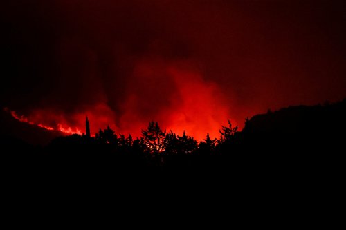 Trees burn during a wildfire near Narbonne, southern France, August 6, 2025. REUTERS/Manon Cruz