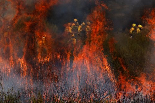 Firefighters work to extinguish a wildfire in the outskirts of Abejera de Tabara, Zamora, Spain, August 13, 2025. REUTERS/Susana Vera TPX IMAGES OF THE DAY