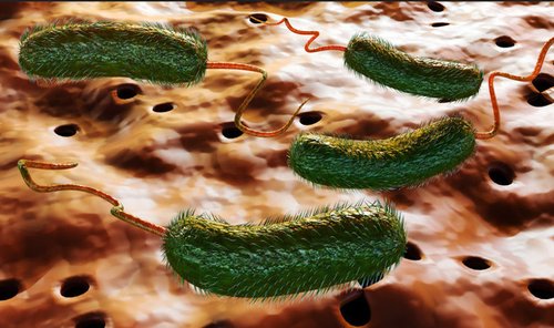 Screenshot 2025-09-02 173738