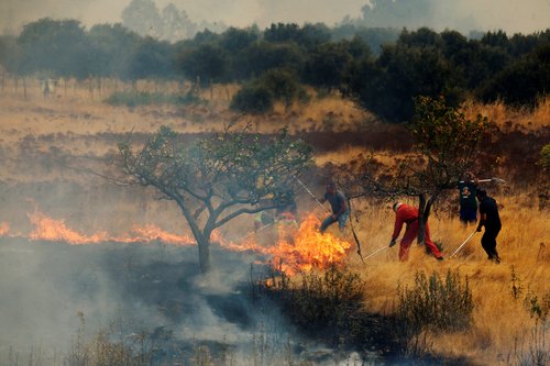 Local residents and neighbours from other villages try to extinguish a wildfire approaching Abejera de Tabara, Zamora, Spain, August 13, 2025. REUTERS/Susana Vera