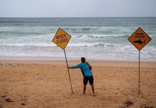 A lifeguards places a sign at Manly Beach, after a man was attacked by a shark in the afternoon, the second attack in Sydney's northern beaches on the day and the third attack in 24 hours, Australia, January 19, 2026. REUTERS/ Jeremy Piper