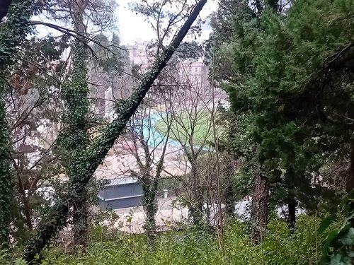 617864108_1302668228335957_7744036833158964218_n