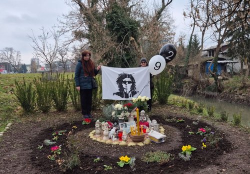 david dragicevic davidovo srce