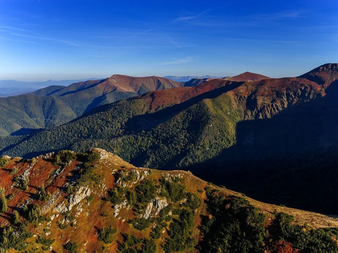 Sličica