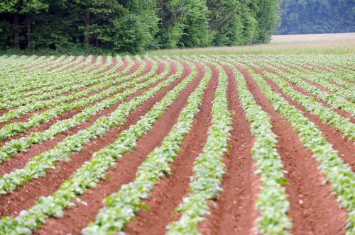 BiH CoM approves duty-free import of 300,000 tonnes of fertilizers in 2027