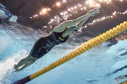 Fukuoka 2023 World Aquatics Championships