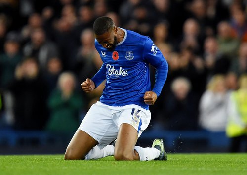 Premier League - Everton v Fulham