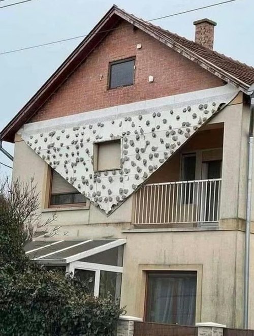 Screenshot 2026-02-02 111306