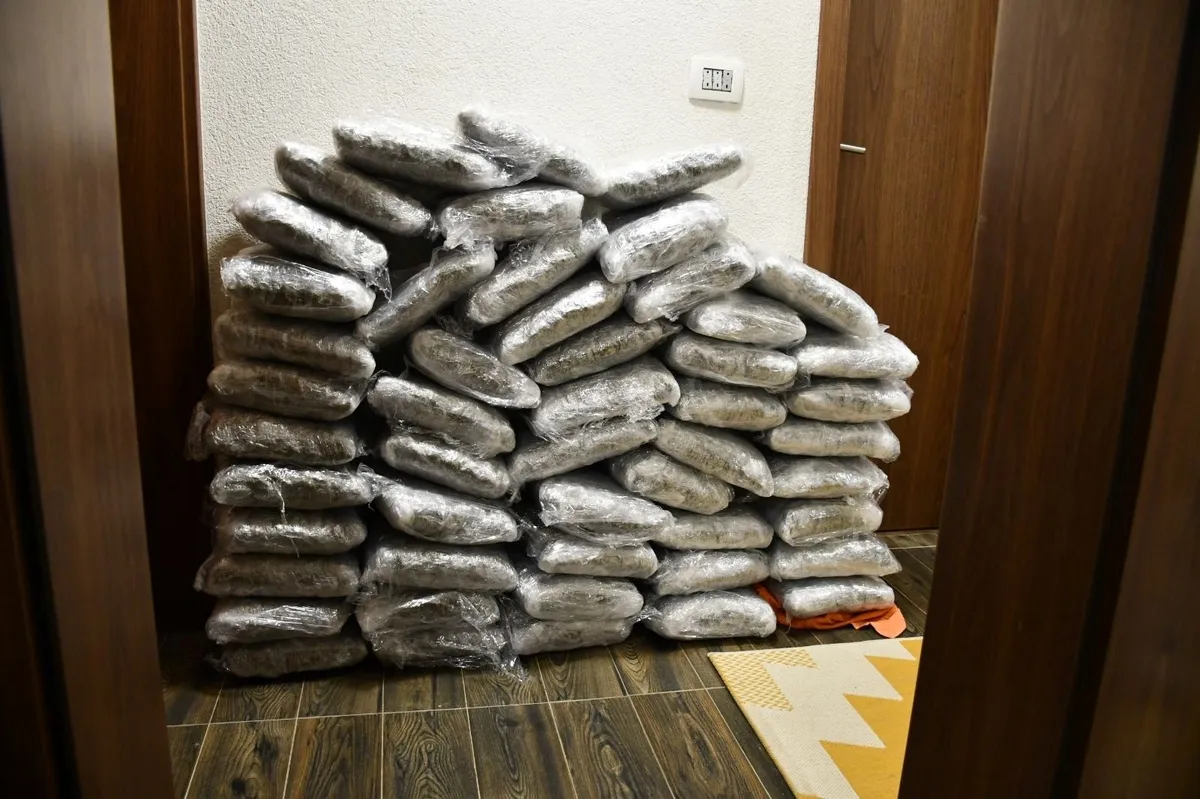 Kajanija, Lizdek i Imamović optuženi za trgovinu narkoticima: Pronađeno im je oko 39 kg droge ulične vrijednosti pola miliona KM