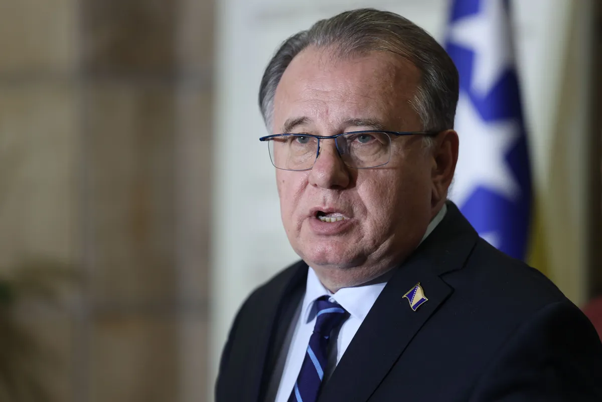 SDP BiH: Vlasništvo države nad imovinom neupitno, potrebna sistemska rješenja