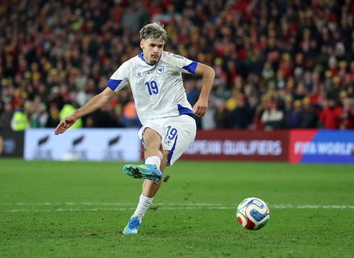 Soccer Football - FIFA World Cup - UEFA Qualifiers - Semi Final - Wales v Bosnia and