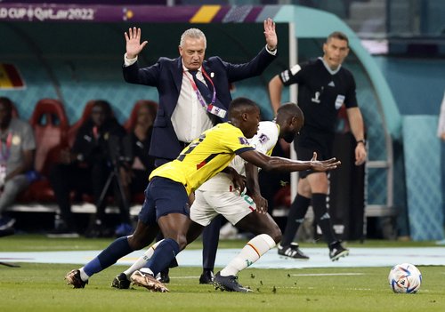 FIFA World Cup Qatar 2022 - Group A - Ecuador v Senegal