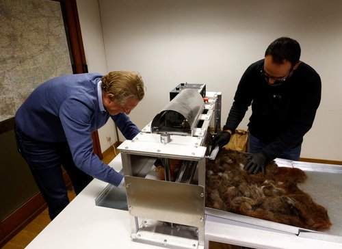 Human hair recycled to clean waterways in Belgium