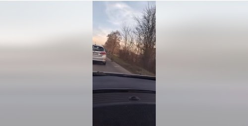 majmun prijedor banjaluka