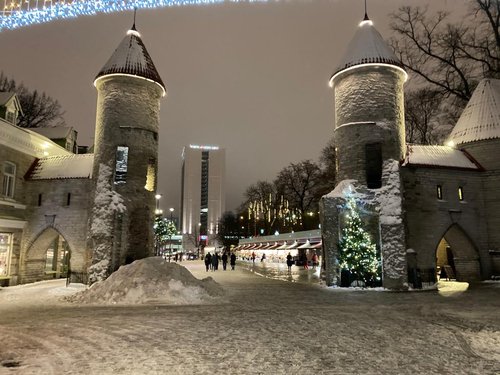 Tallincc64d7ca-e19c-43ac-8c7b-0d2d56efdb08