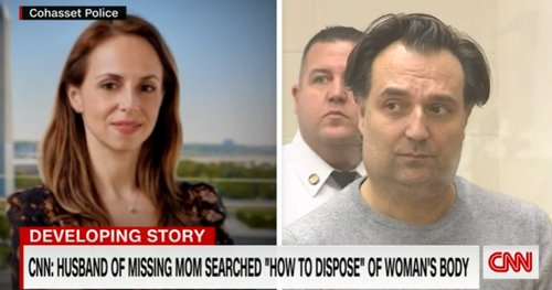 ana walshe brian walshe