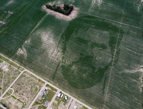 Argentine corn field grows with the face of World Cup winner Messi