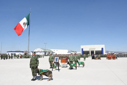Mexico bids farewell to rescue dog who died in Turkey