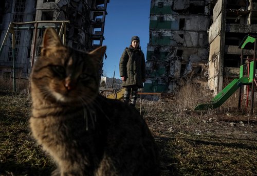 Veronika Krasevych, an 11-year-old Ukrainian girl stands next to a cat near her building destroyed by Russian military strike in the town of Borodianka heavily damaged during Russia's invasion of Ukraine, outside of Kyiv