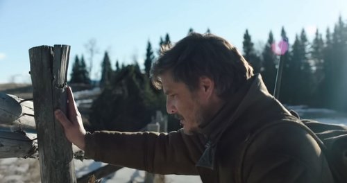 The last of us serija