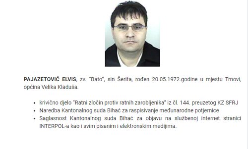elvis pajazetovic