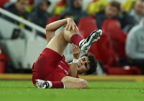 Premier League - Liverpool v Wolverhampton Wanderers