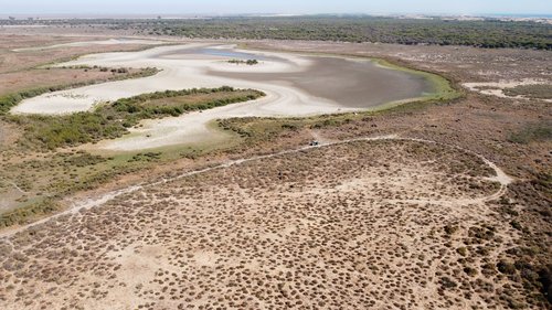 FILE PHOTO: The lagoon of Santa Olalla is seen dried out at Donana National Park, southern Spain