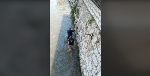 spasavanje mace iz milajcke