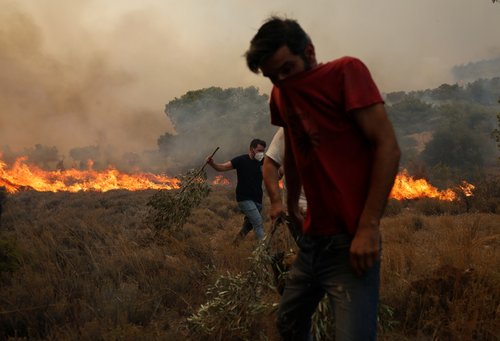 Wildfire burns in Vlyhada near Athens