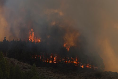 Wildfire burns on the Canary Island of Gran Canaria