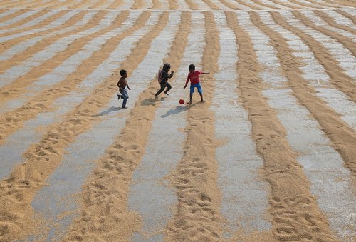 FILE PHOTO: Children play with a ball after rice is spread for drying at a rice mill on the outskirts of Kolkata