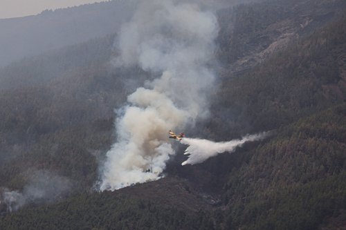 FILE PHOTO: A firefighter plane discharges water over Guimar, as wildfires rage out of control on the island of Tenerife