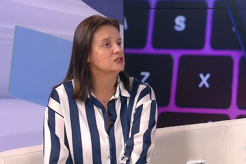 amela efendić