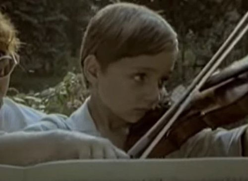 misa zikina dinastija