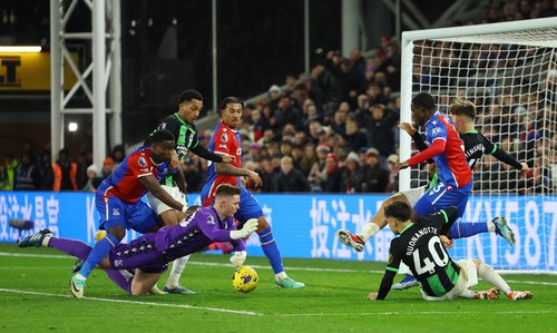 Premier League - Crystal Palace v Brighton & Hove Albion