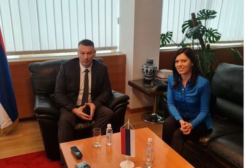 nesic i vulic