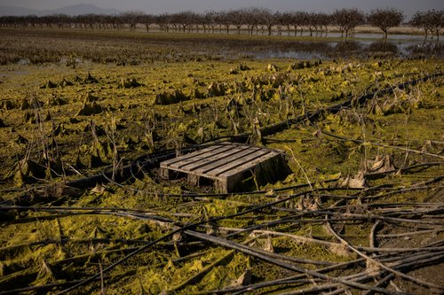 Flooded Greek lake a warning to European farmers battling climate change