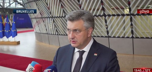 plenkovic