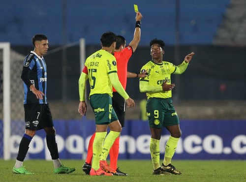 Copa Libertadores - Group F - Liverpool v Palmeiras