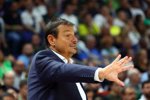 EuroLeague - Final - Real Madrid v Panathinaikos BC