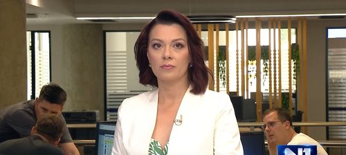 marijana dnevnik